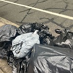 Trash/Recycling at 42.35 N 71.12 W