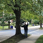 Public Trees at 237 Dean Rd