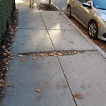 Sidewalk Repair at 126 Longwood Ave