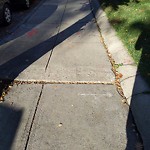 Sidewalk Repair at 106 Longwood Ave
