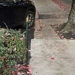Sidewalk Obstruction at 1 Strathmore Rd Brookline