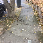 Sidewalk Repair at 17 Hancock Rd