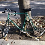 Abandoned Bike at Amory St