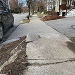 Sidewalk Repair at 71 Beaconsfield Rd