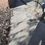 Sidewalk Repair at N42.33 E71.15