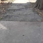 Sidewalk Repair at 641 Chestnut Hill Ave