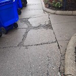 Sidewalk Repair at 50 Pleasant St