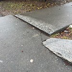 Sidewalk Repair at 157 Jordan Rd