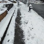 Unshoveled/Icy Sidewalk at 105 Colbourne Crescent