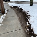 Sidewalk Repair at 125 Tappan St