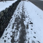 Unshoveled/Icy Sidewalk at 125 Holland Rd