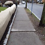 Sidewalk Repair at 129 Centre St
