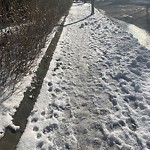 Unshoveled/Icy Sidewalk at 101 Coolidge St