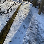 Unshoveled/Icy Sidewalk at 12 Salisbury Rd