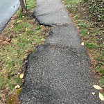 Sidewalk Repair at 81 Spooner Rd