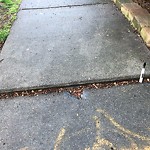 Sidewalk Repair at 215 Middlesex Rd