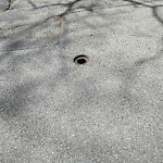 Pothole at 41 Sears Rd