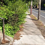 Sidewalk Obstruction at 93 Winchester St