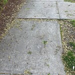 Sidewalk Repair at 138 Lancaster Terr