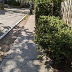Sidewalk Obstruction at 32 Atherton Rd