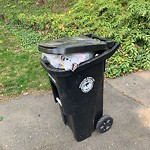 Trash/Recycling at 16 Holland Rd