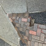Sidewalk Repair at 421 Harvard St North Brookline