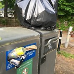 Trash/Recycling at 42.33 N 71.15 W