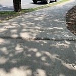 Sidewalk Repair at Clinton Rd Brookline Norfolk County