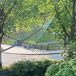Public Trees at 82 Highland Rd