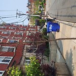 Public Trees at 208 A Winthrop Rd