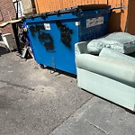 Trash/Recycling at 4 Greenway Ct