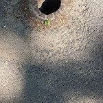 Pothole at 56 Verndale St