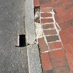 Sidewalk Repair at 46–52 Fuller St