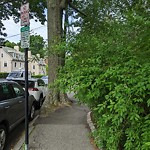 Sidewalk Obstruction at 201 Longwood Ave