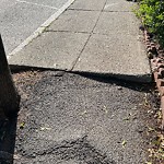 Sidewalk Repair at 240 Aspinwall Ave