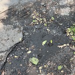 Pothole at 42.30 N 71.14 W