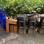 Recycling at 42.33 N 71.12 W