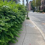 Sidewalk Obstruction at 86 Saint Paul St