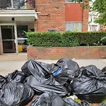 Trash/Recycling at 34 Babcock St