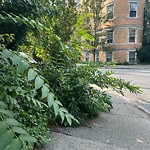 Sidewalk Obstruction at 155–183 Fuller St