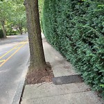 Sidewalk Obstruction at 90 Ivy St