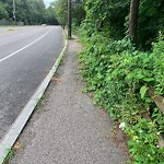 Sidewalk Obstruction at 216–268 Newton St