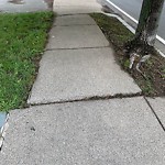 Sidewalk Repair at 145 Grove St