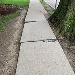 Sidewalk Obstruction at 168 Independence Dr