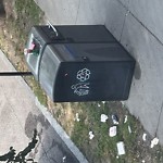 Trash/Recycling at 1904 Beacon St Brookline