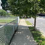 Public Trees at 33 Bartlett Cres