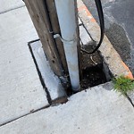 Sidewalk Repair at 42.33 N 71.13 W
