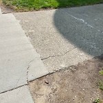 Sidewalk Repair at 1595 Beacon St Brookline
