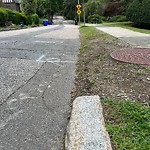 Sidewalk Repair at 75 Willard Rd
