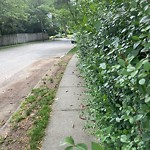 Sidewalk Obstruction at 218 Middlesex Rd
